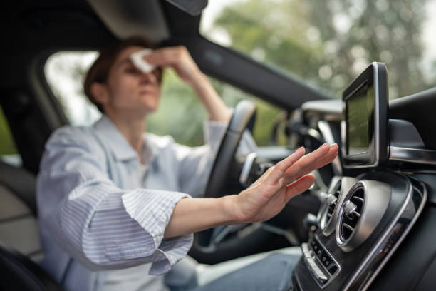 Best Thermostats and Smart Controls in Ramseur, NC
